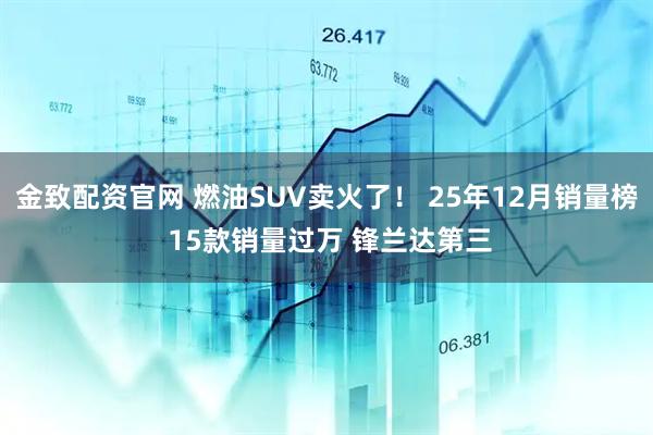 金致配资官网 燃油SUV卖火了！ 25年12月销量榜 15款销量过万 锋兰达第三
